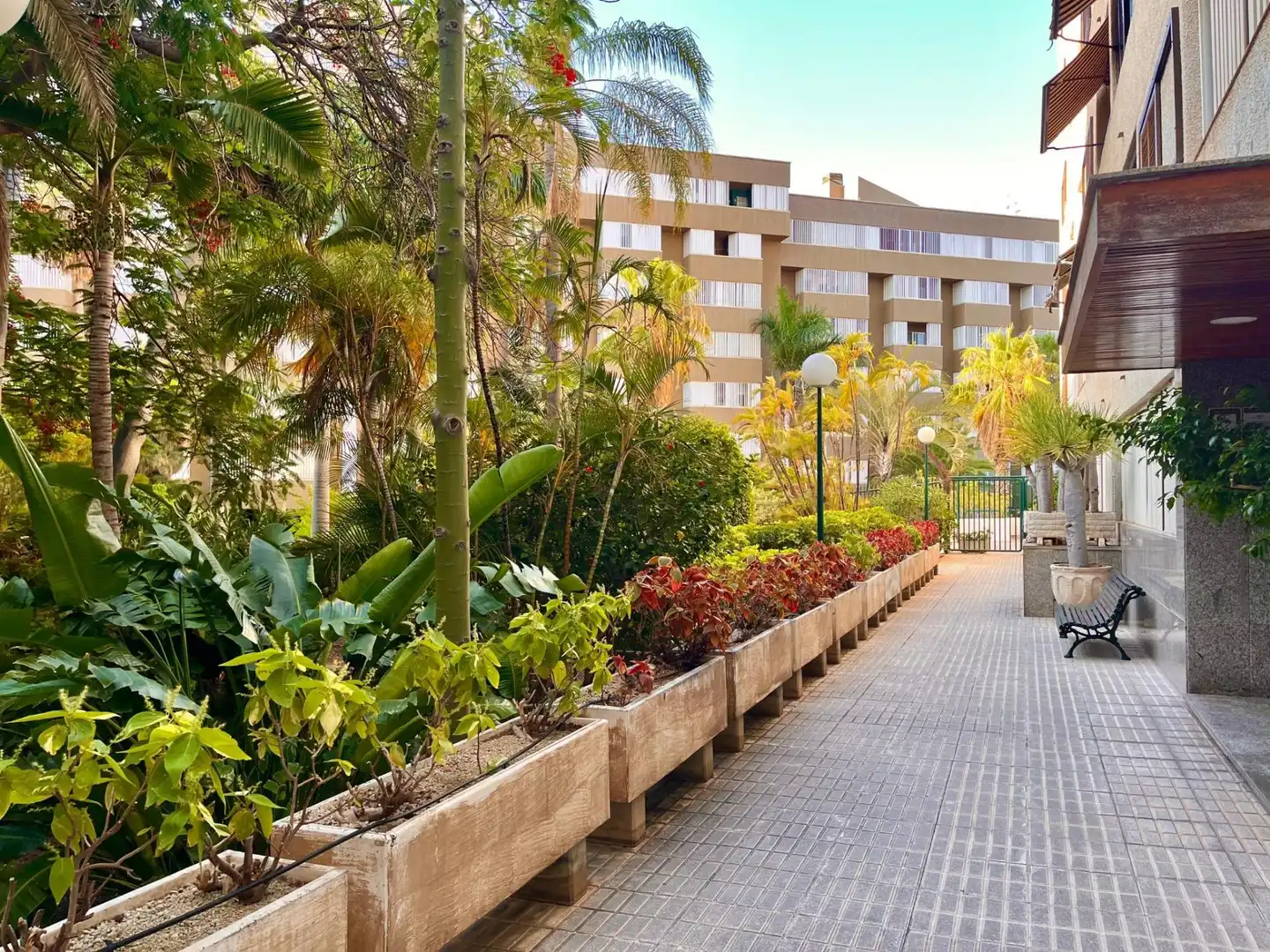 Wohnung mit Terrasse zum Verkauf in Calle Calle Elías Ramos González, imagen 4