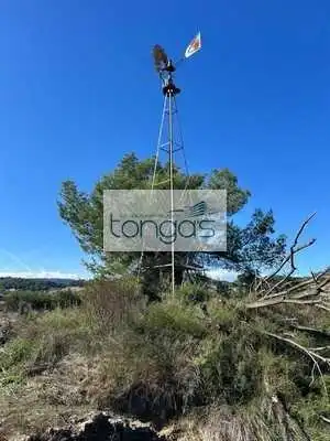 Terreny rústic en venda a Llanera de Ranes