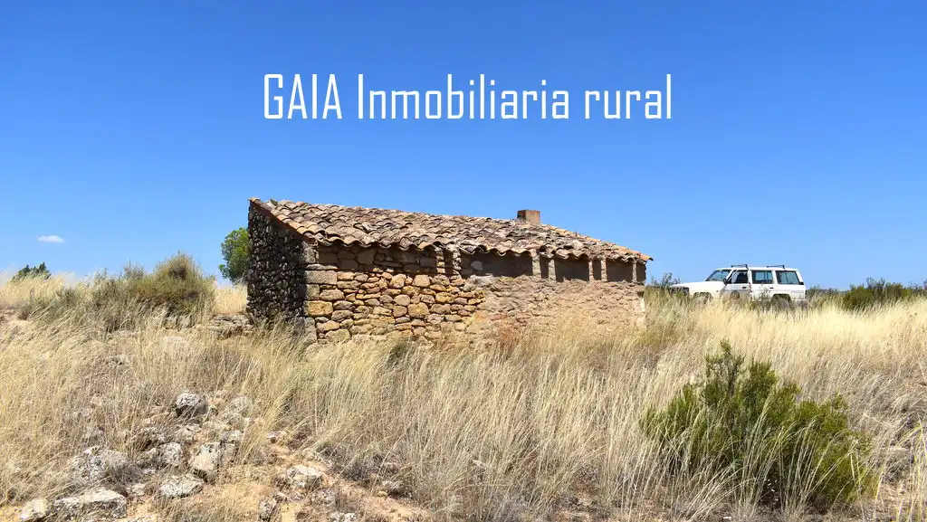 Finca rústica en venta en Caspe