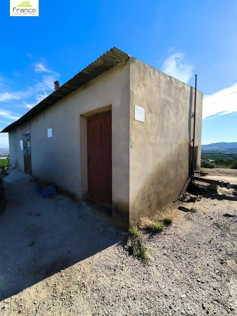 Terreno rustico in vendita a Campo de Murcia, imagen 3