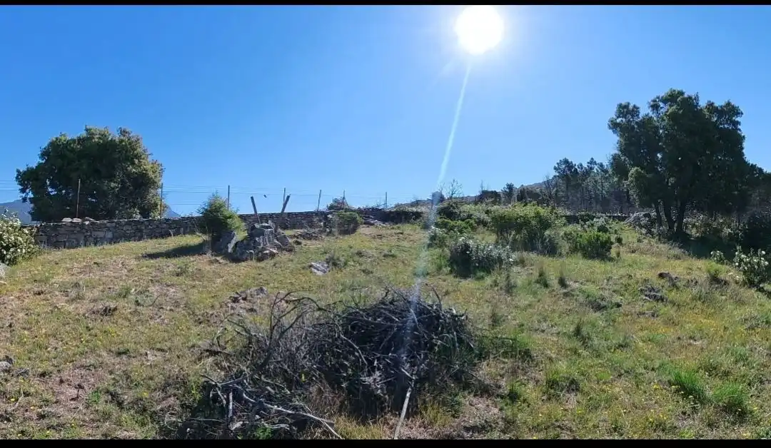 Rural land for sale in Polígono Polígono I, imagen 13