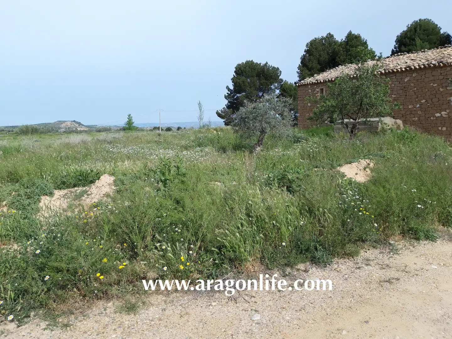 Finca rústica en venda en Caspe