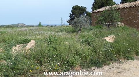 Photo 3 of Country house for sale in Calle Monjas, Caspe, Zaragoza