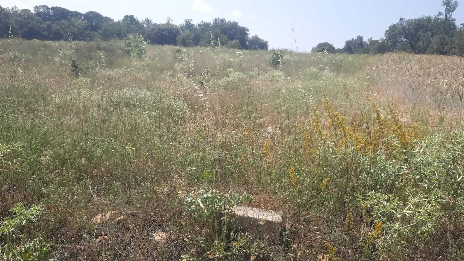Residencial en venta en Villares de Órbigo