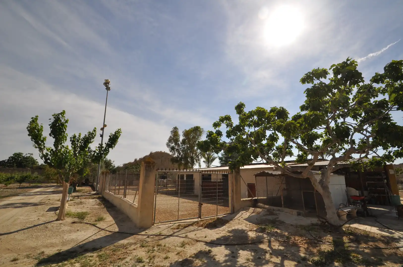 Business premises for sale in Abanilla, imagen 18