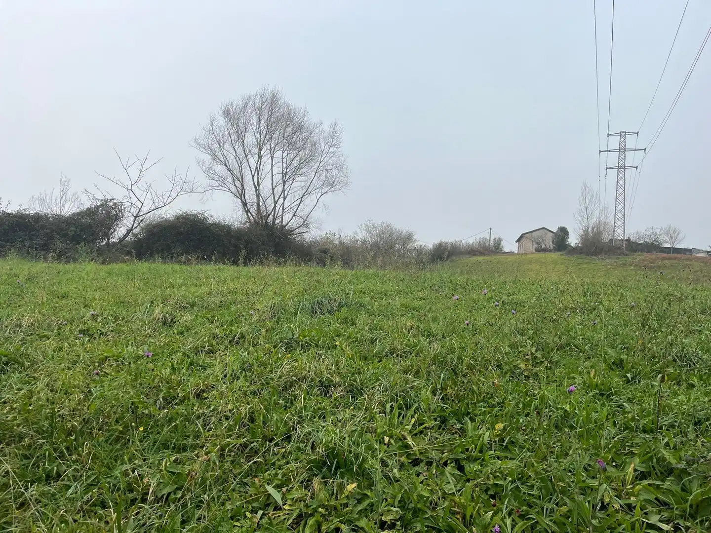 Residential land for sale in Polígono 11 Parcela 301 MATA LA FAME. LANGREO (AS 11, imagen 6