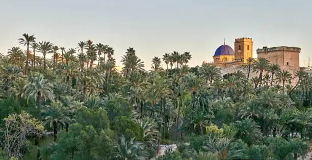 Außenansicht von Residential zum Verkauf in Elche / Elx