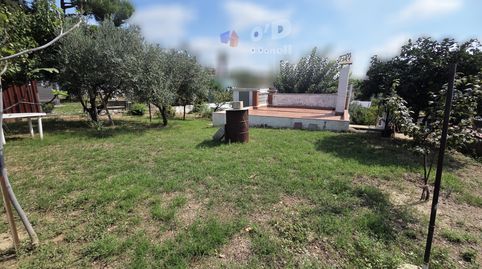 CASA DE 37 M2 CON PARCELA LLANA DE 425 M2, image 2