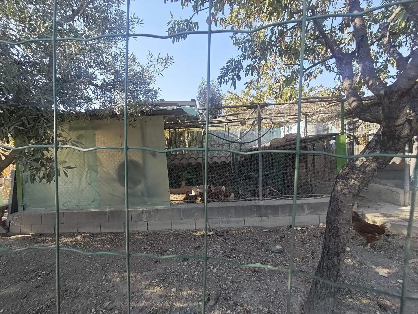 Country homes for sale in Sax  with Private garden, Storage room and Swimming Pool