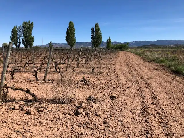 Rustikales Grundstück zum Verkauf in Navarrete, imagen 4