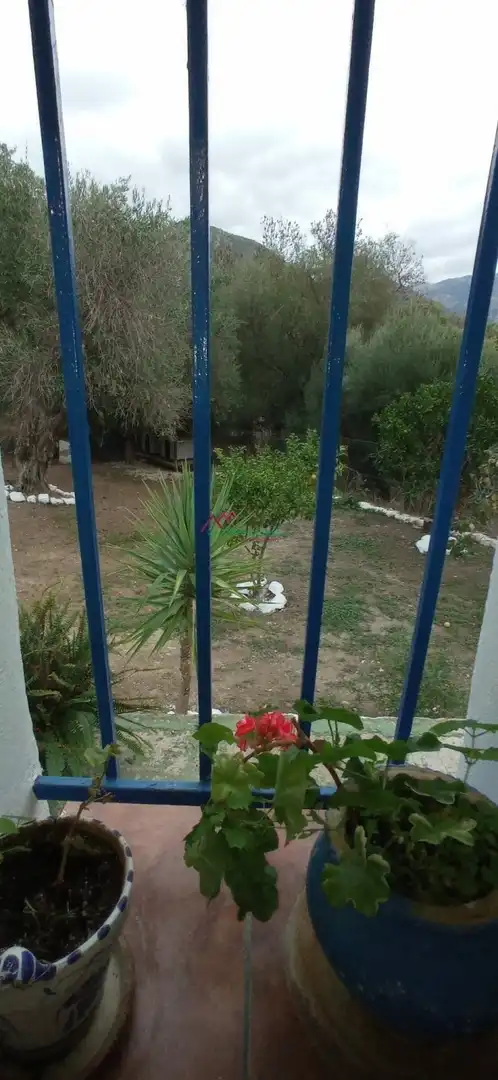 Terreni e lotti in vendita a Benaocaz, imagen 24
