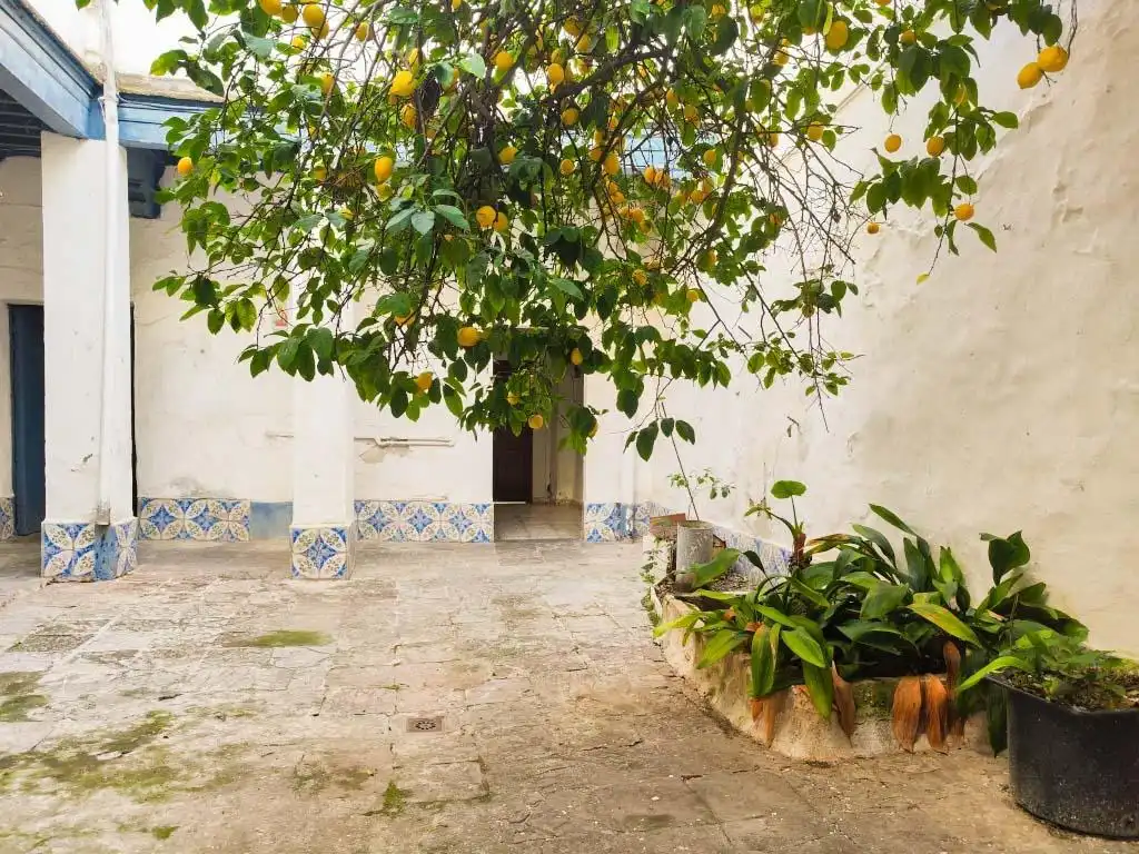 Vista exterior de Casa o xalet en venda en Chiclana de la Frontera amb Terrassa, Traster i Balcó
