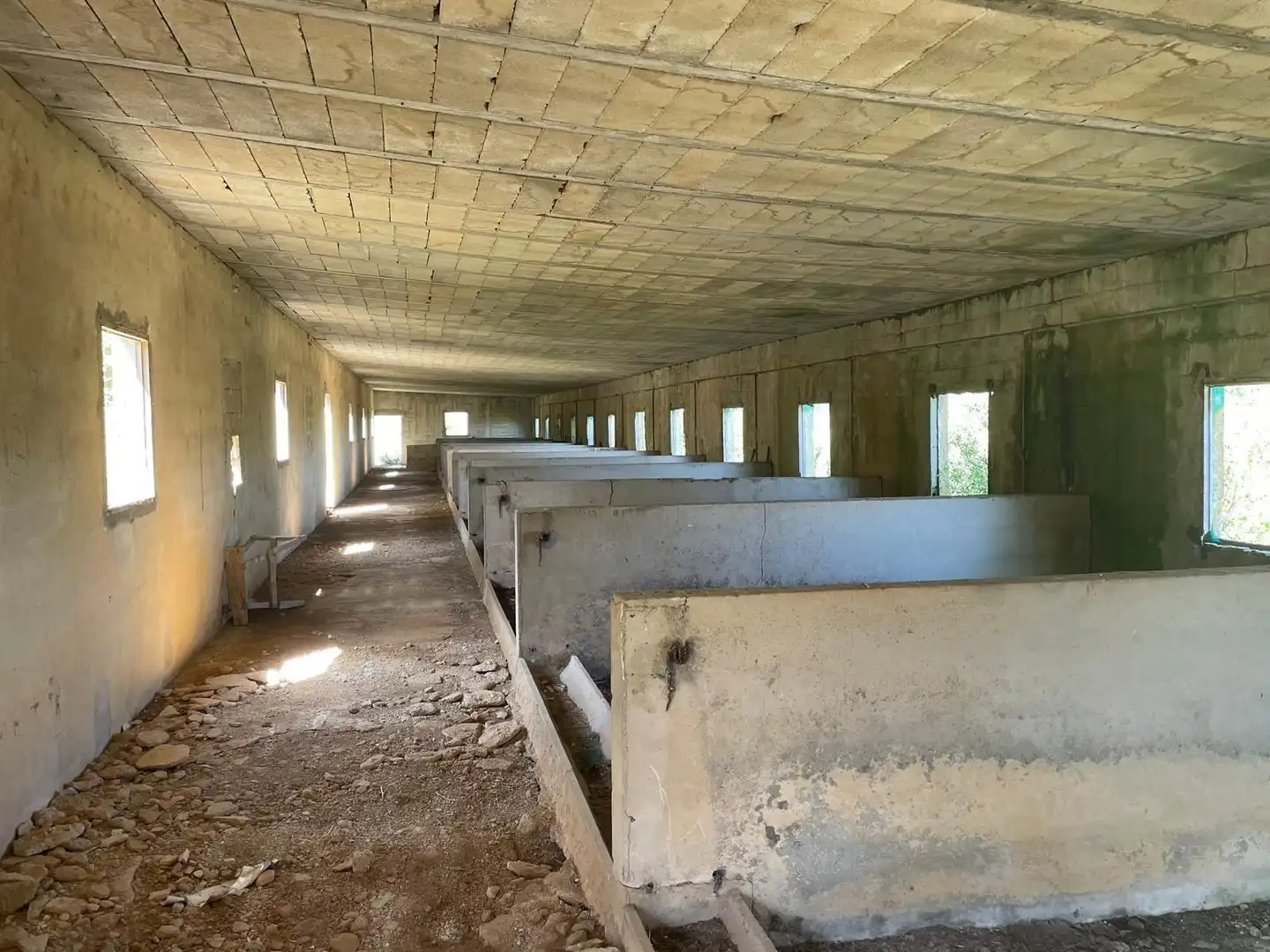 Finca rústica en venta en Ariany con Jardín privado