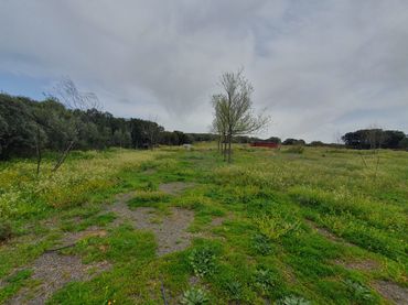 Terreny residencial en venda a Brazatortas