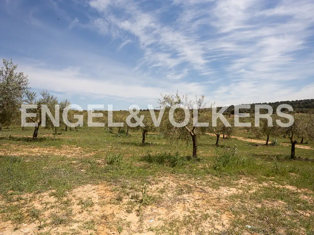 Casa o chalet en venta en Chinchilla de Monte-Aragón con Calefacción, Jardín privado y Terraza