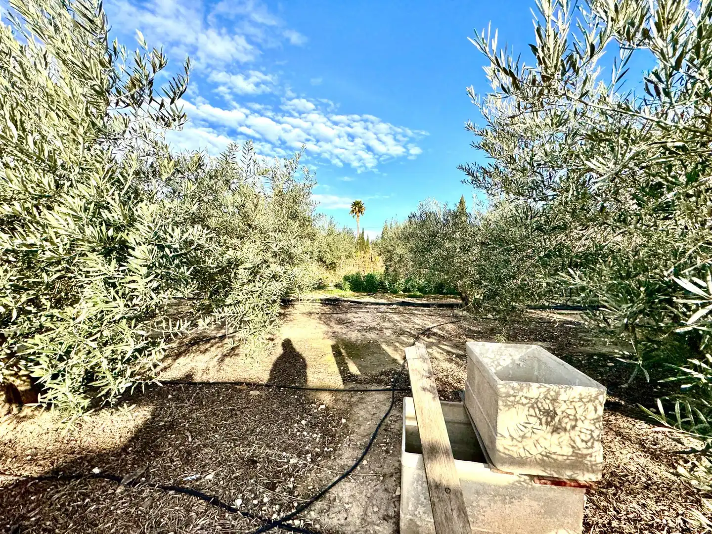 Villa avec jardin à vendre à Las Bayas, imagen 15