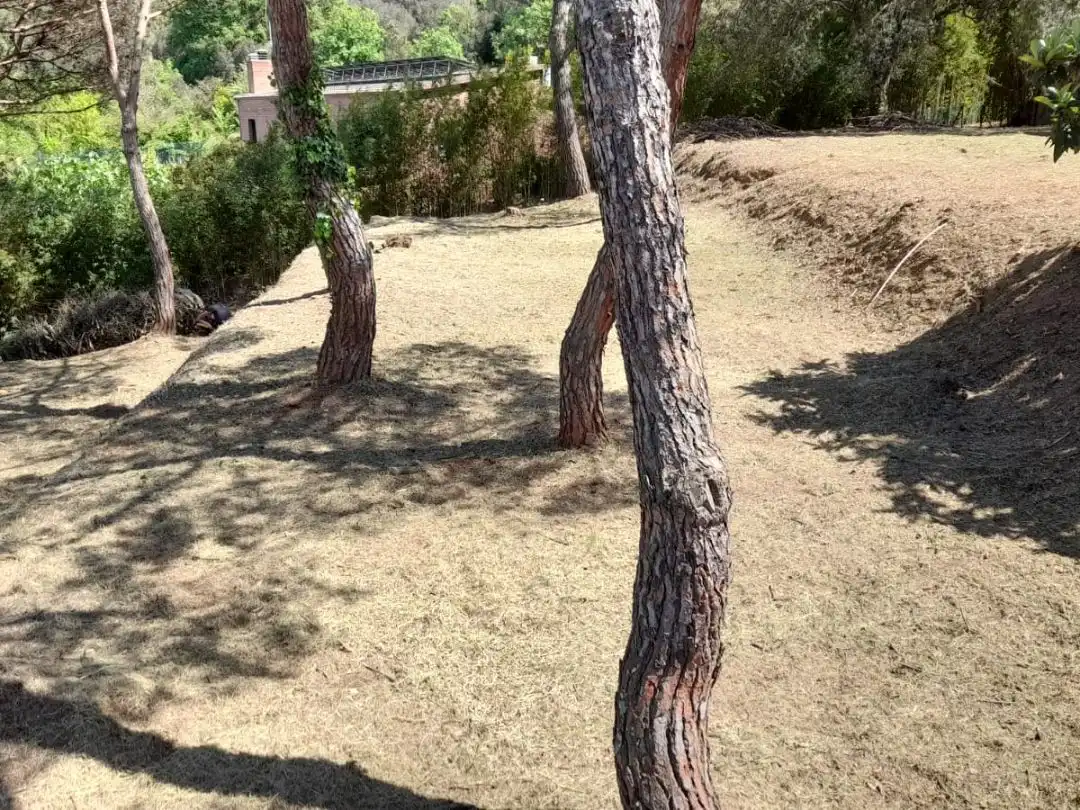 Terreno residencial en venta en Carrer de l'Urgell 27, imagen 3