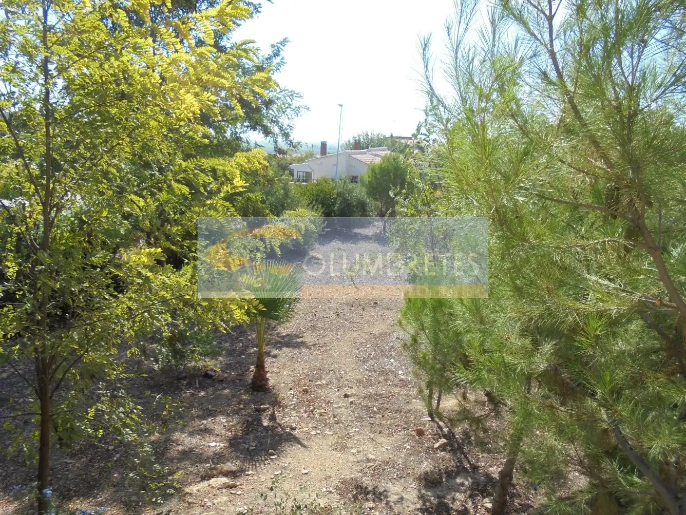 Casa o chalet en venta en Castellón de la Plana / Castelló de la Plana con Jardín privado, Terraza y Trastero