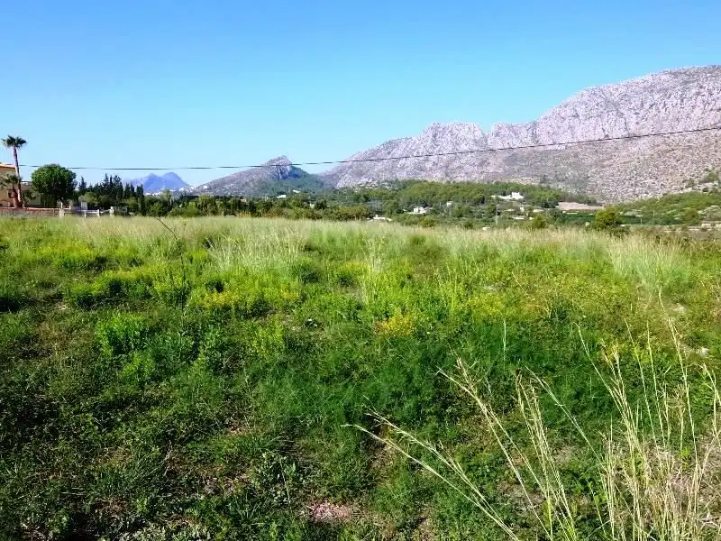 Terreny rústic en venda a Ondara, imagen 13