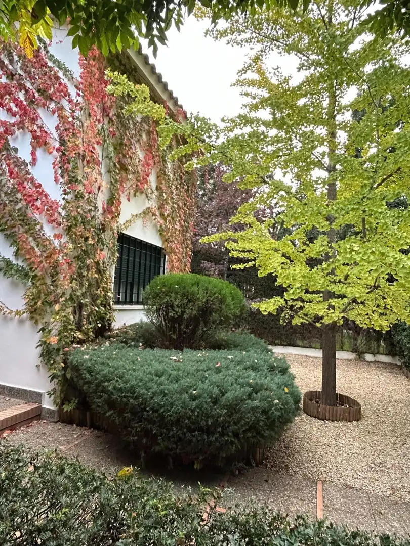 Vista exterior de Casa o chalet en venta en Bormujos con Aire acondicionado, Calefacción y Jardín privado