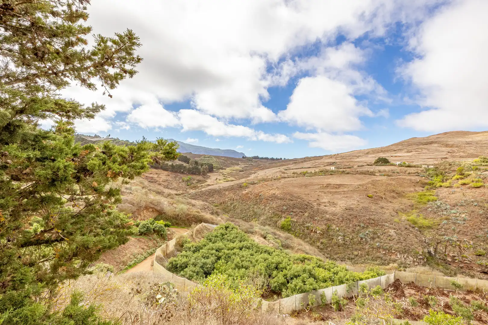 Residencial en venta en Lugar Lomo del Poleo, Saucillo - Fagajesto - Juncalillo