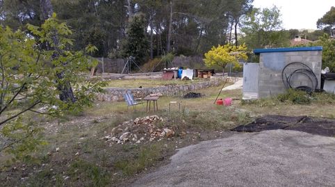 Solar con árboles frutales, immagine 3