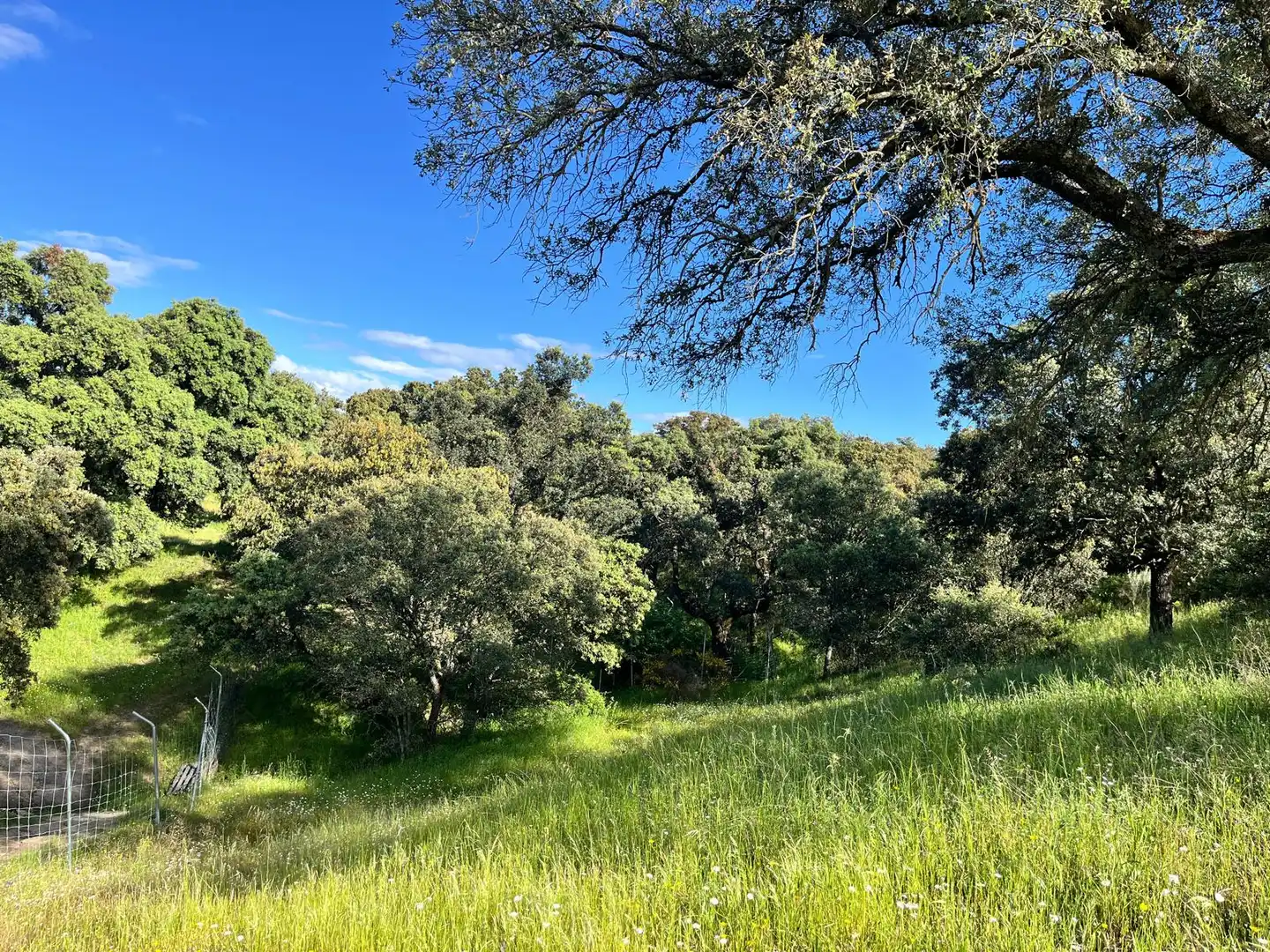 Finca rústica en venta en Santa Cruz del Retamar pueblo