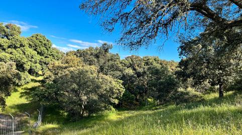 Foto 2 de Finca rústica en venda a Santa Cruz del Retamar pueblo, Toledo