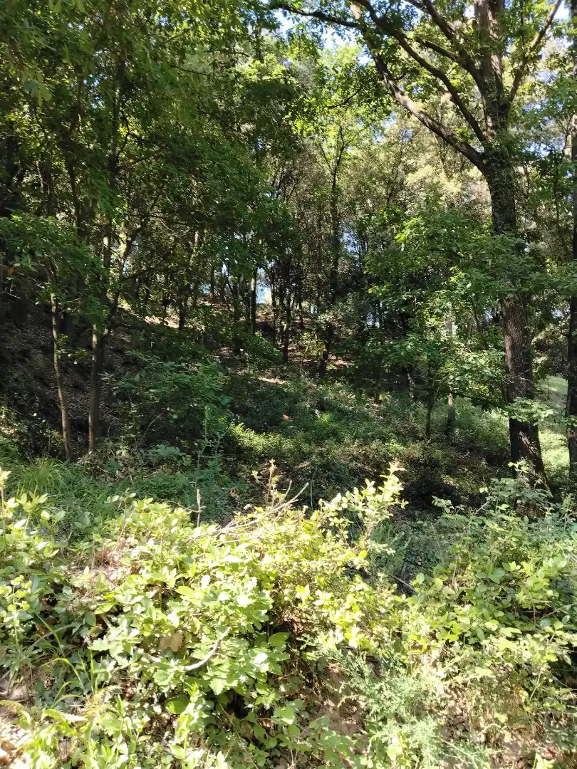 Wohnbaugrundstück zum Verkauf in Urbanització Boscos Montnegre, imagen 3