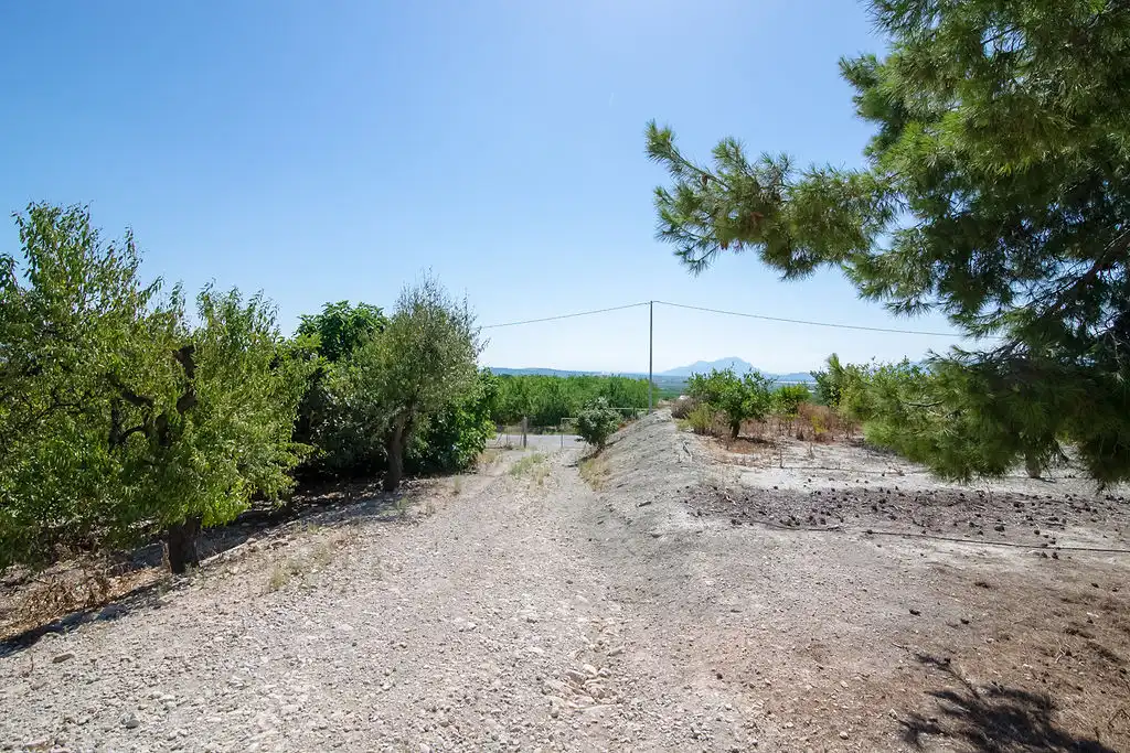 Lands and plots for sale in Paraje del Tale, imagen 11