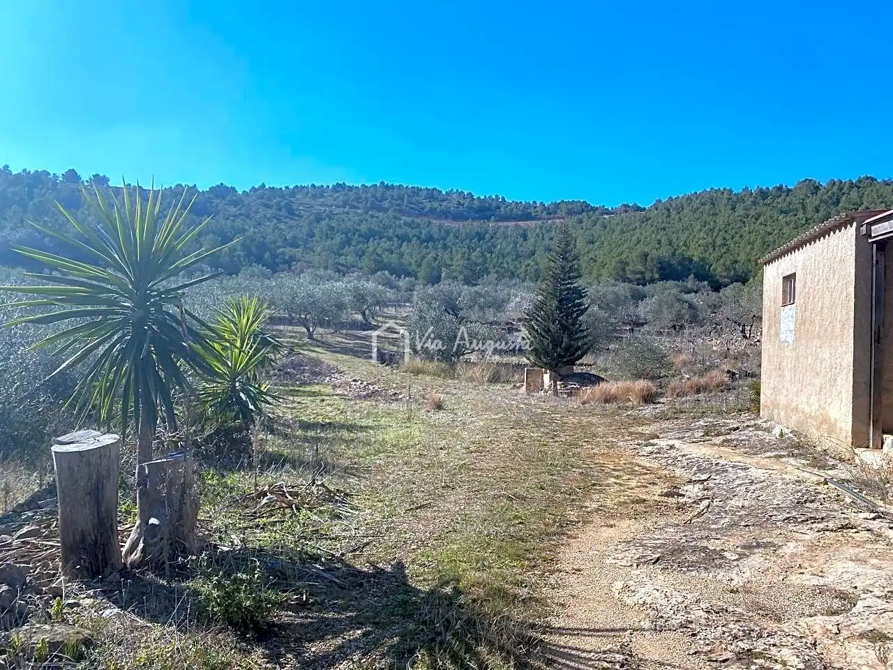 Terrain rustique à vendre à Calobres, imagen 3