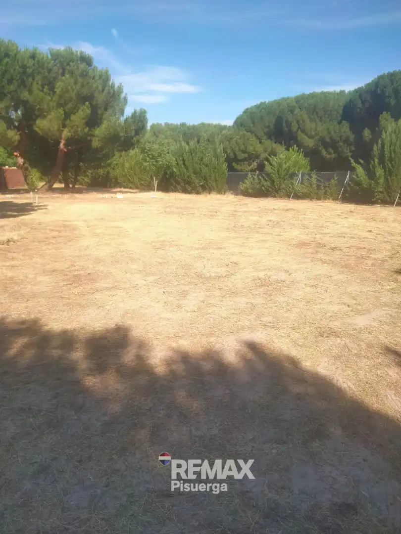 Terreni e lotti in vendita a Lugar Comun Viejo 2, imagen 7