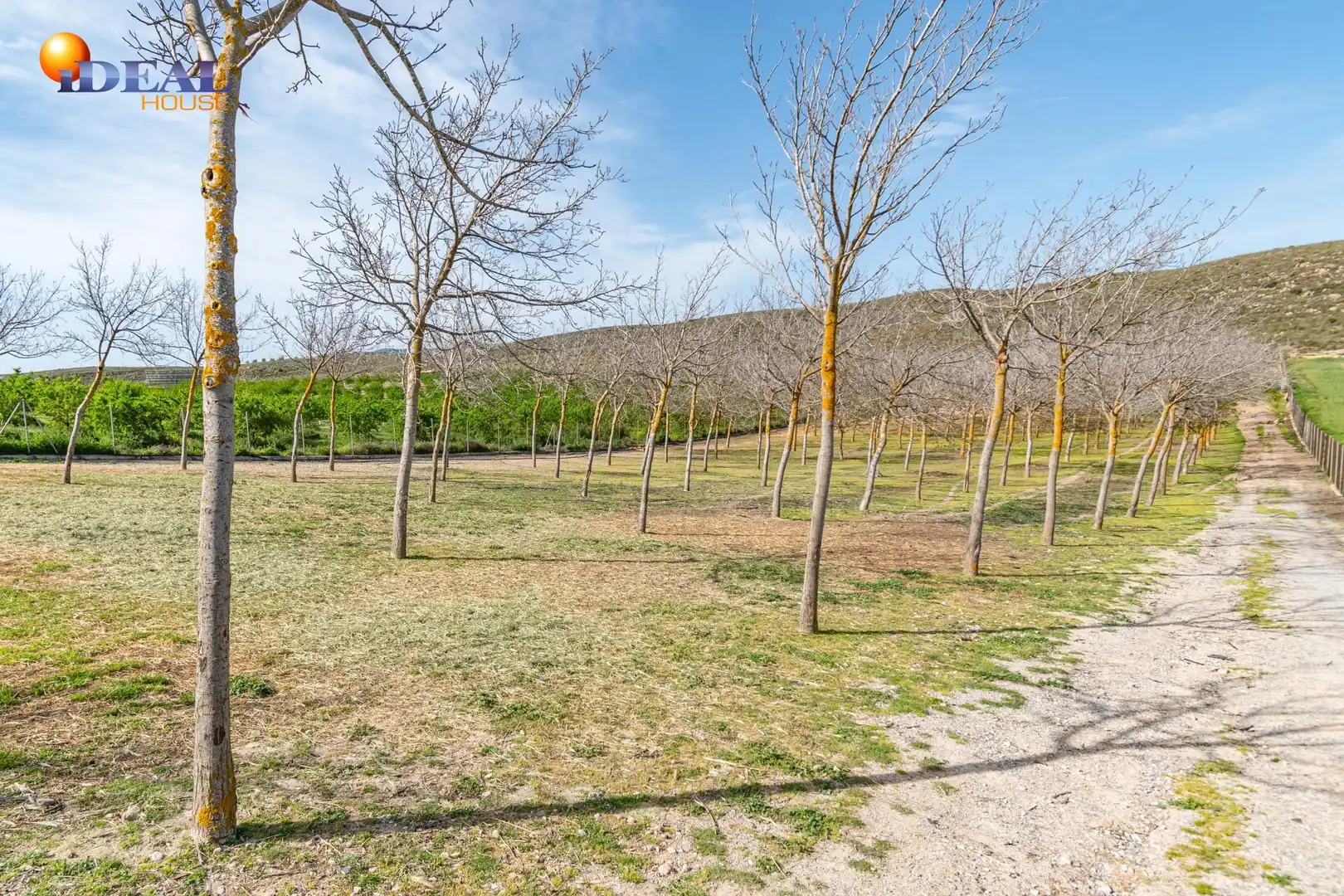 Terreni e lotti in vendita a Padul, imagen 49