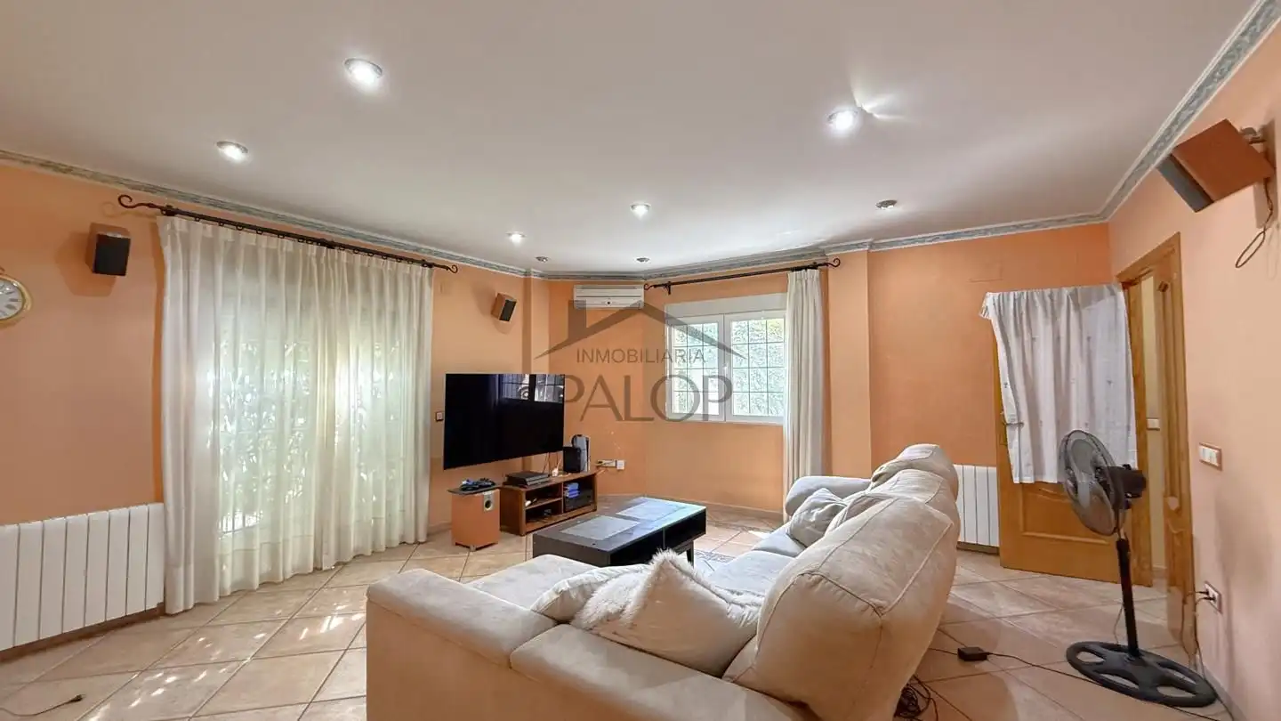 Sala d'estar de Casa o xalet en venda en Senyera amb Jardí privat