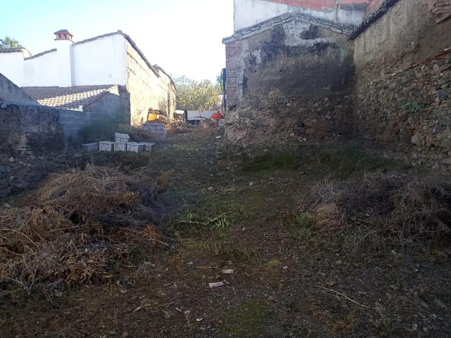 Houses for sale in Montemolín