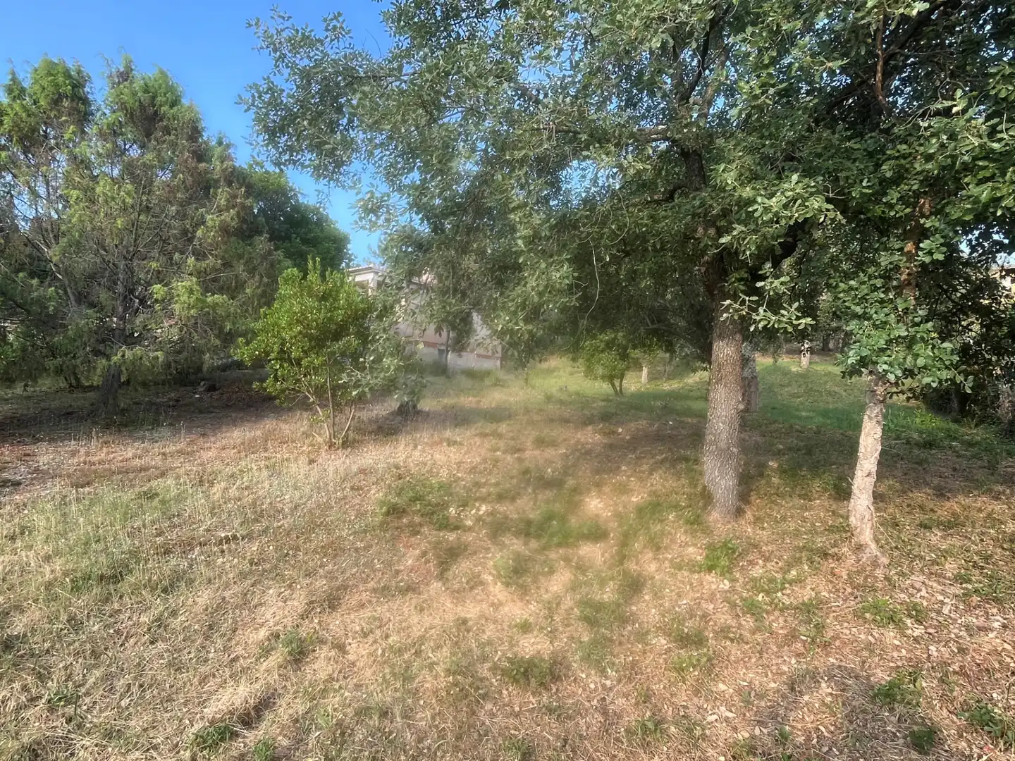 Terrain résidentiel à vendre à Urbanizacion Mas Llunes 1639, imagen 3