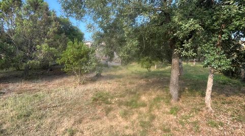 Venta parcela en Urbanización Mas Llunes., immagine 3