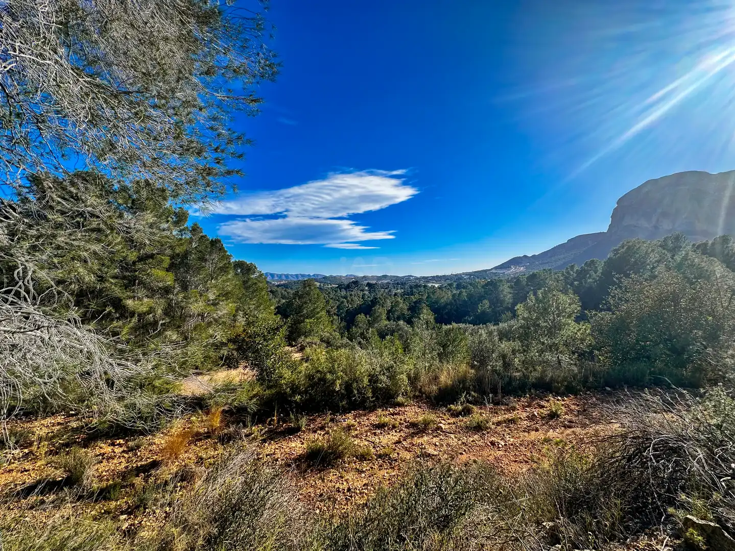 Vista exterior de Terreno en venta en Polop