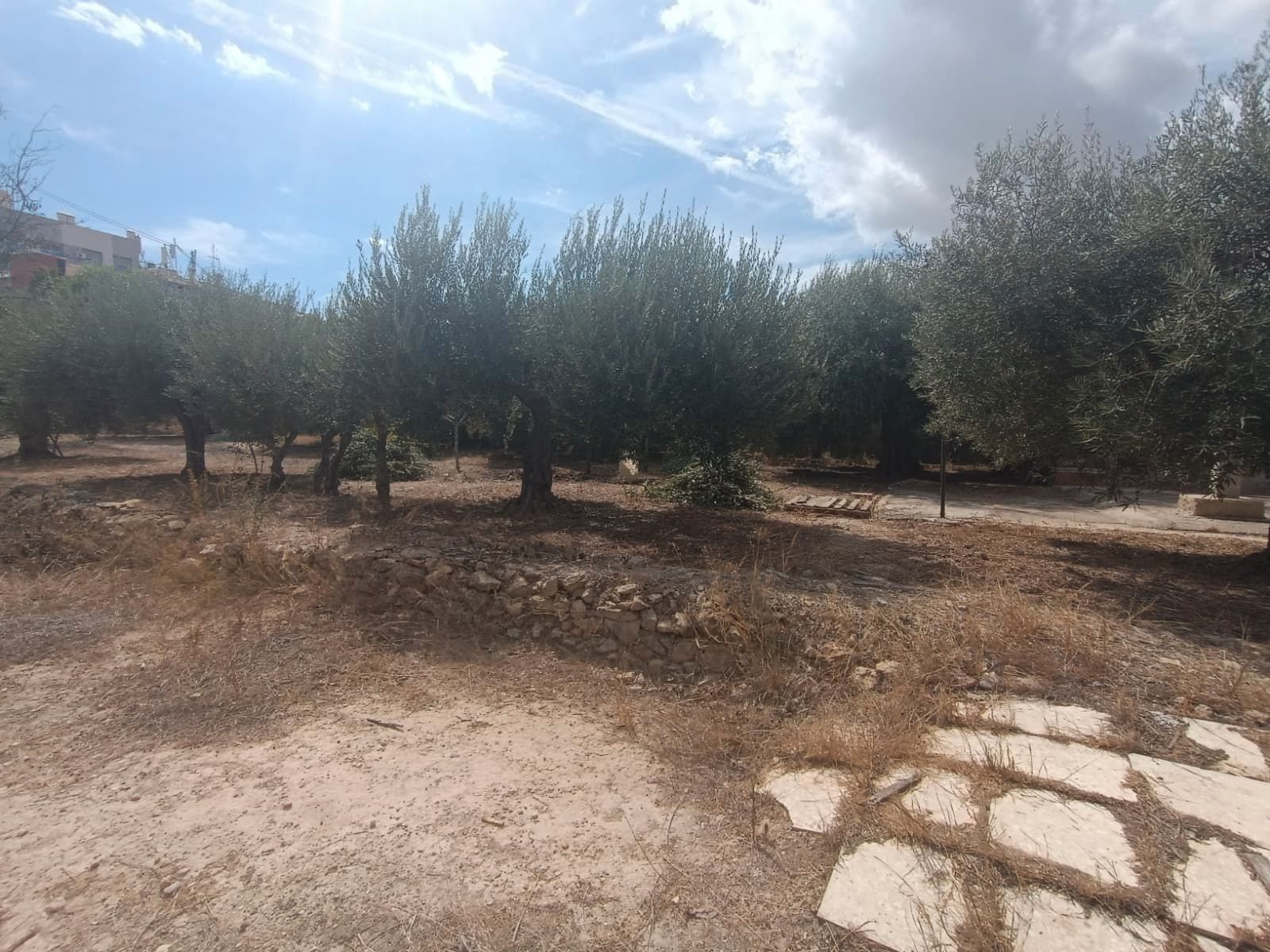 House or chalet for sale in San Vicente del Raspeig / Sant Vicent del Raspeig  with Air Conditioner, Private garden and Terrace