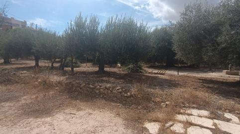 Photo 2 of House or chalet for sale in Partida Torregroses Polígono a, Sol y Luz, Alicante