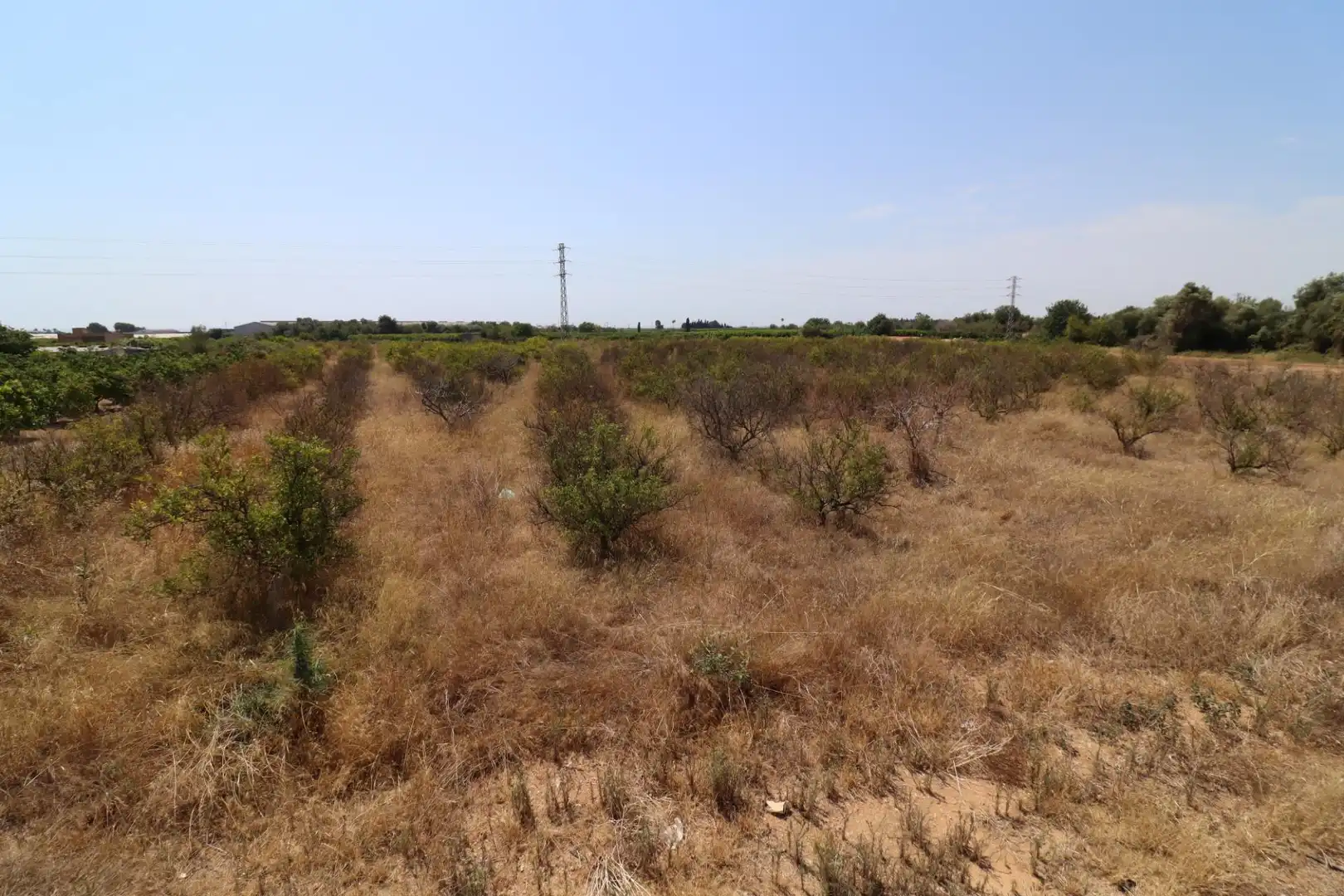 Terreno rustico in vendita a Alcanar, imagen 9