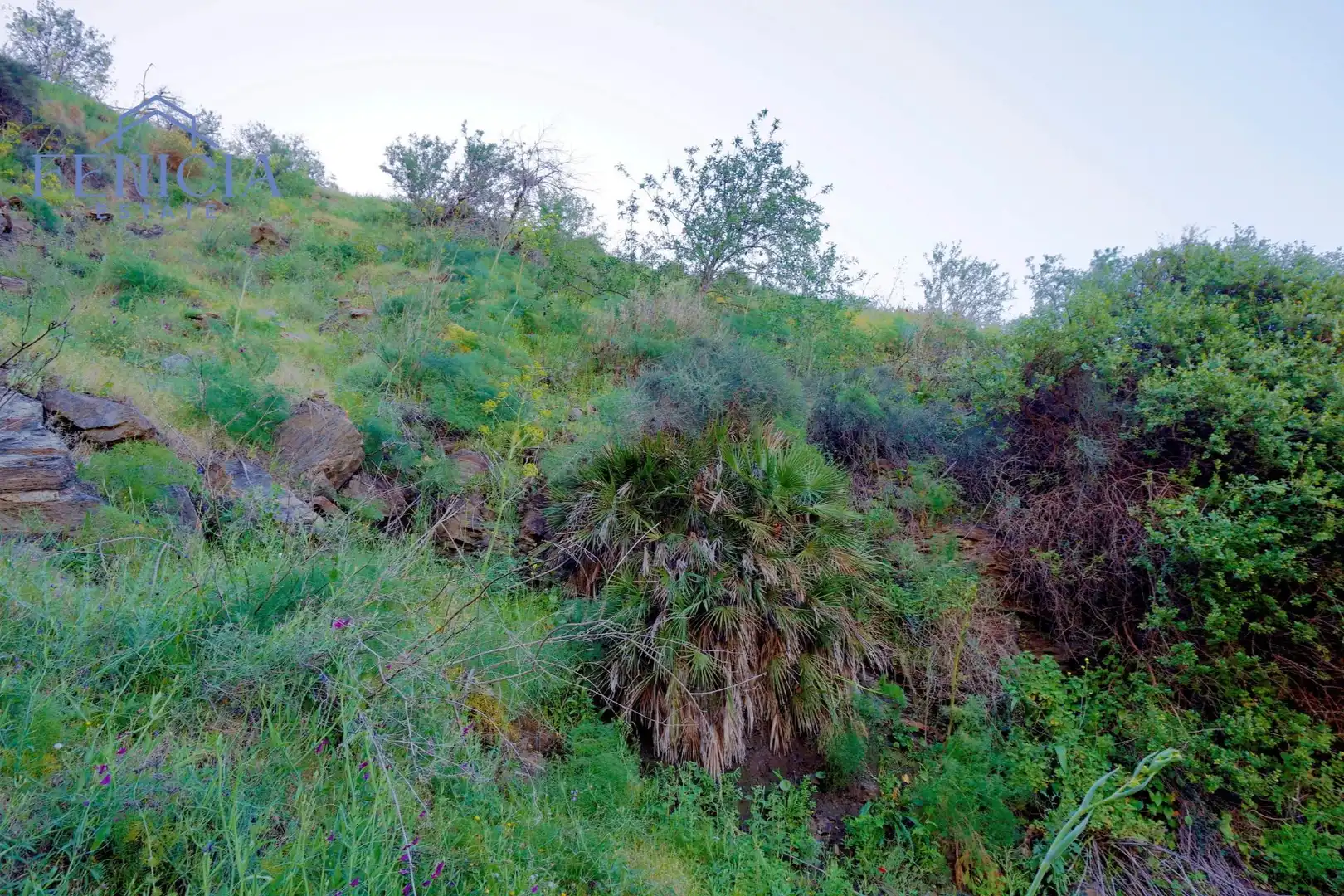 Terreno en venta en Ítrabo