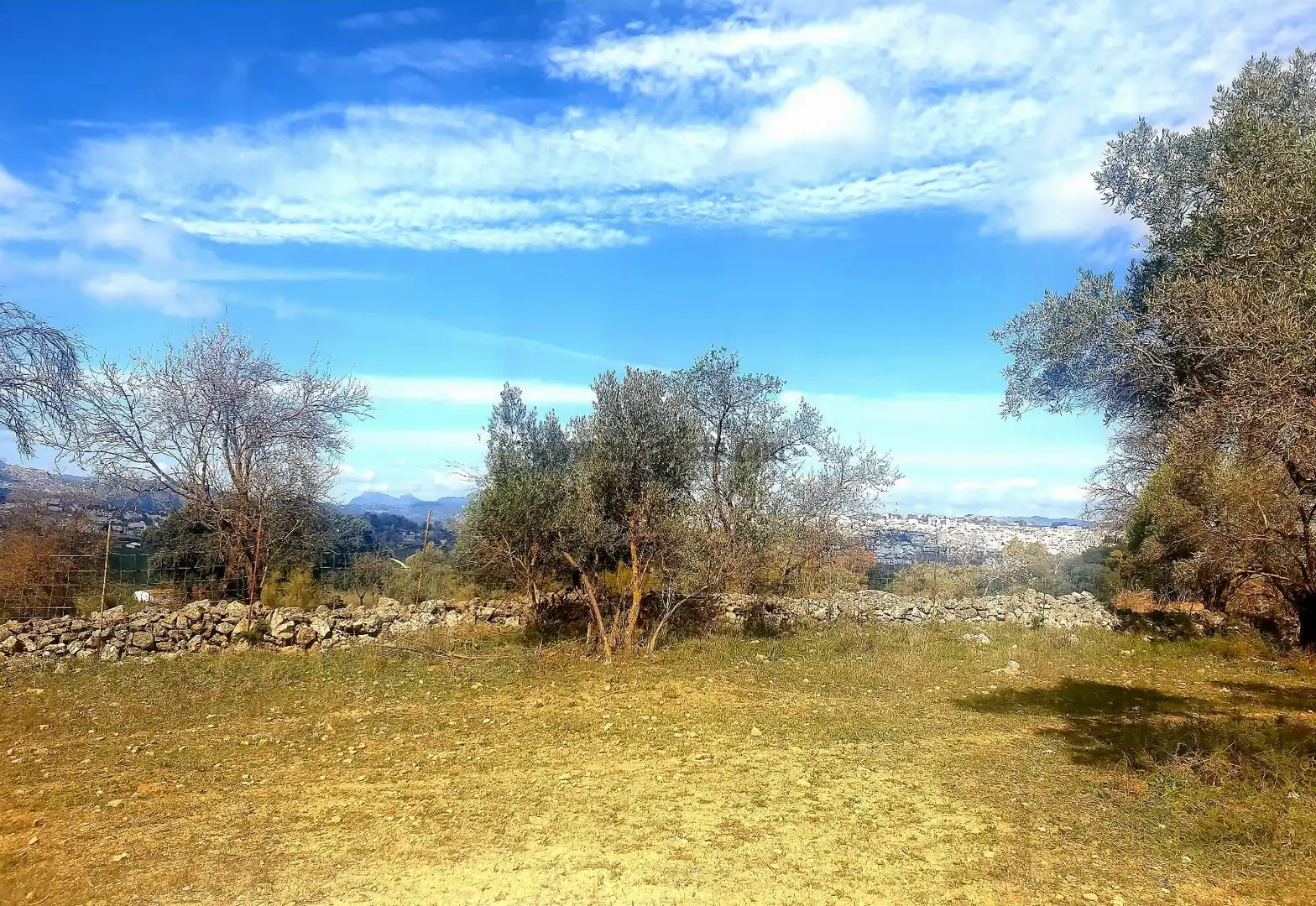 Terrenys i solars en venda a La Planilla, Cra. A-6300, imagen 18