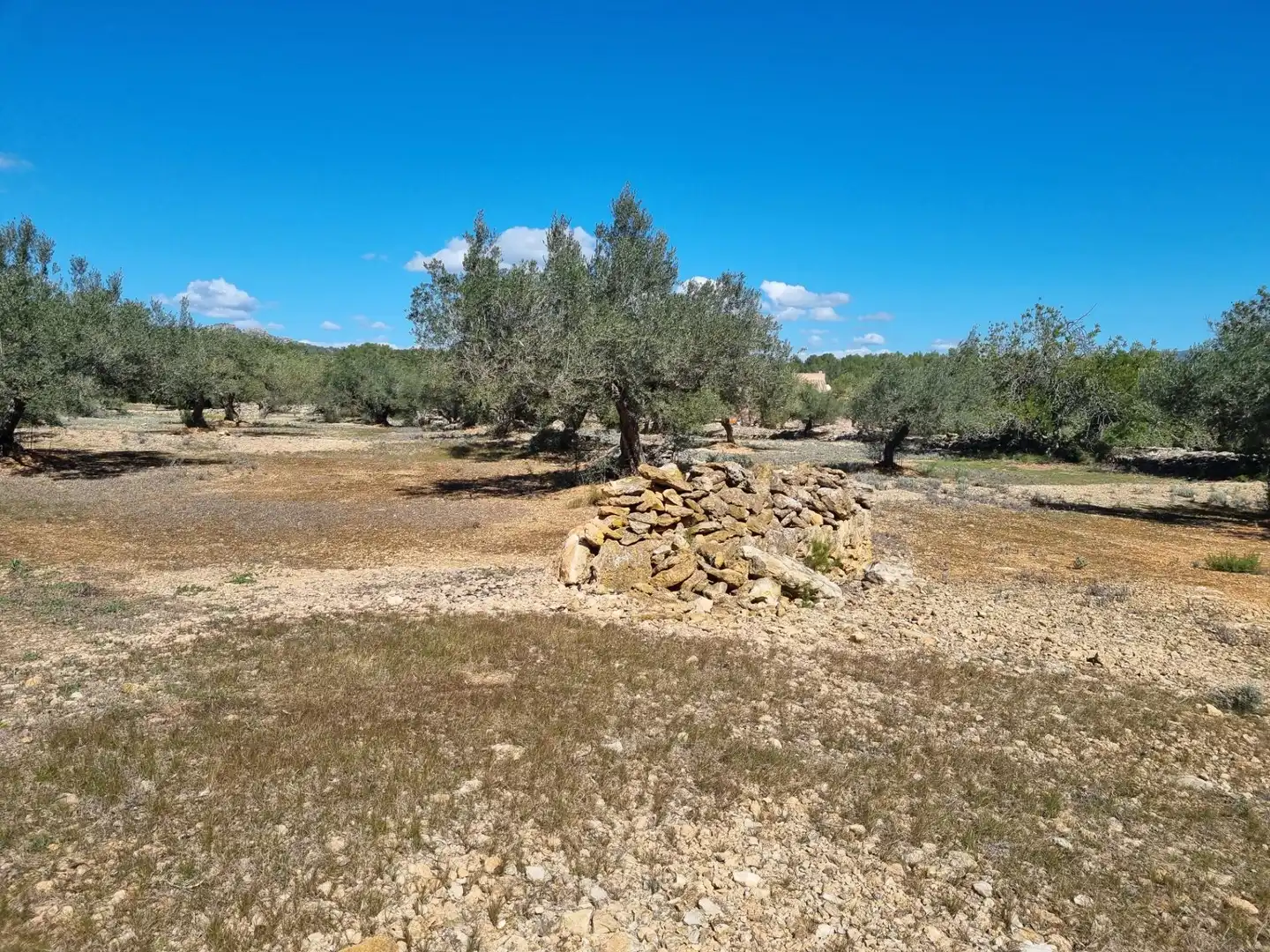 Terreno rustico in vendita a El Perelló, imagen 8