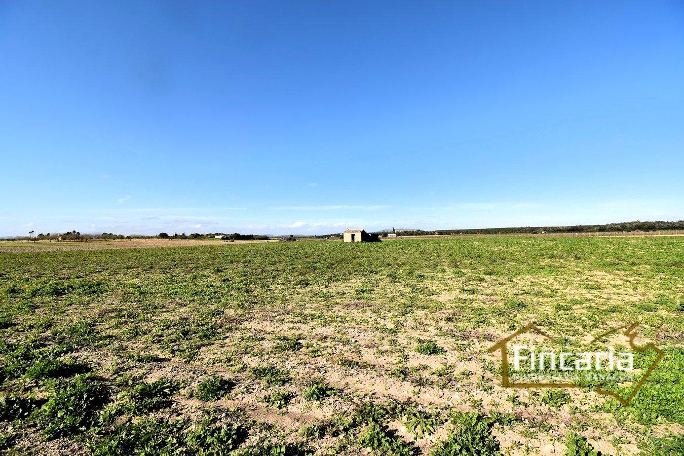 Residencial en venda a Camí de Son Nadal, Felanitx Poble