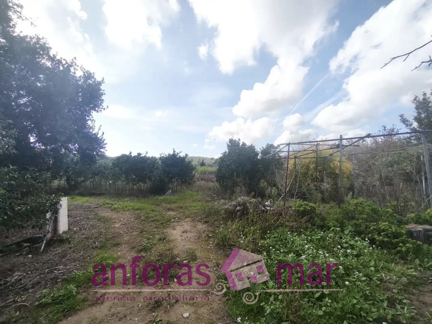 Terreno rústico en venta en La Riera de Gaià, imagen 5