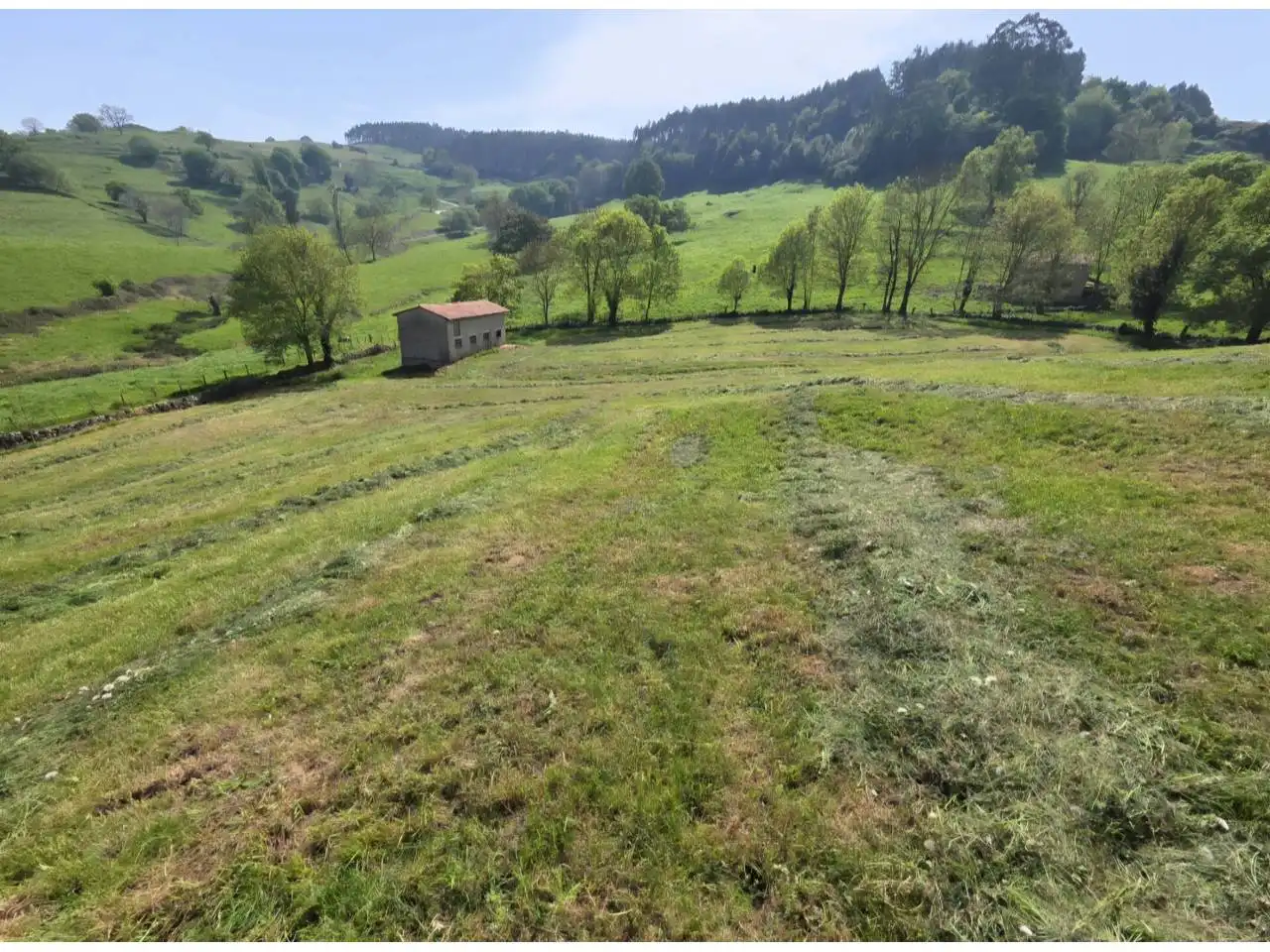 Terrain rustique à vendre à Calle argomeda, imagen 5