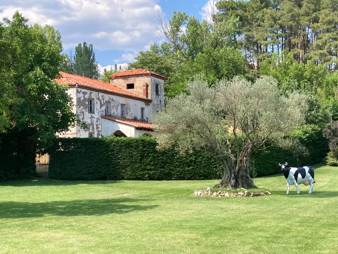 Jardín de Casa o chalet en venta en León Capital  con Calefacción, Jardín privado y Horno