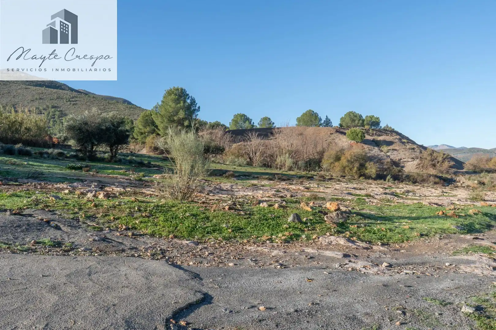 Rural land for sale in Órgiva, imagen 9