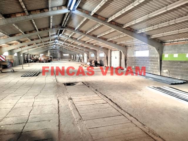 Nave industrial en Alquiler en Pedanias
